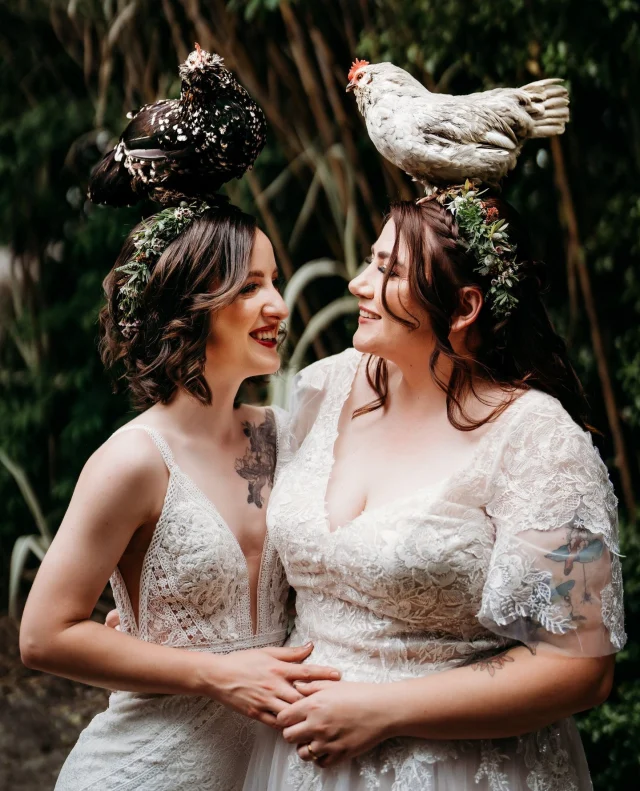 “I 100% recommend giving yourself a few minutes of a breather together, just to soak in that you are now married!” – @eggboiandfriends & @01dji ⁠
⁠
Amy and Caroline’s cosy summer wedding was the kind of day that felt like a big warm hug – full of love, laughter, and the most magical DIY touches. ⁠
⁠
From walking down the aisle hand in hand to dancing in the dark under the trees, their day was as heartfelt as it was beautiful. Bonus points for chickens in the guest list and their grandmothers as flower girls!⁠
⁠
Find the full day now on Polka Dot Featured!⁠
⁠
Photographer: @marganphotography / Venue: @redbrowgarden / Ceremony Officiant: @alintathecelebrant / Hair & Makeup Artist: @infinite_hairstyling / Catering: @goldenroastaustralia / Bride's Dress: @angelicinspirationsact⁠
⁠
[Image one description: These two brides have two Belgian D'Uccles chickens on their heads, one dark speckled and one grey. The bride on the left is wearing a fitted V-cut gown with lace detailing, while the bride on the right is wearing a whimsical, fluttery-sleeved dress. Both are wearing flower crowns with pops of red.⁠
⁠
Image two description: Later in the night, the couple are dancing in the dark on the grass with a light behind them, illuminating their white gowns. ⁠
⁠
Image three description: The bride with the fluttery gown is giving her wife a piggy-back ride, with her arms wrapped around her thighs to hold her tight as they both laugh.]⁠
⁠
⁠
#PolkaDotWedding #FeelGoodWeddings #AustralianWeddings #AustralianWedding #WeddingStory #WeddingStories #WeddingMemories #WeddingInspiration #WeddingInspo #RealWedding #CosyWedding #SummerWedding #ChickenWedding
