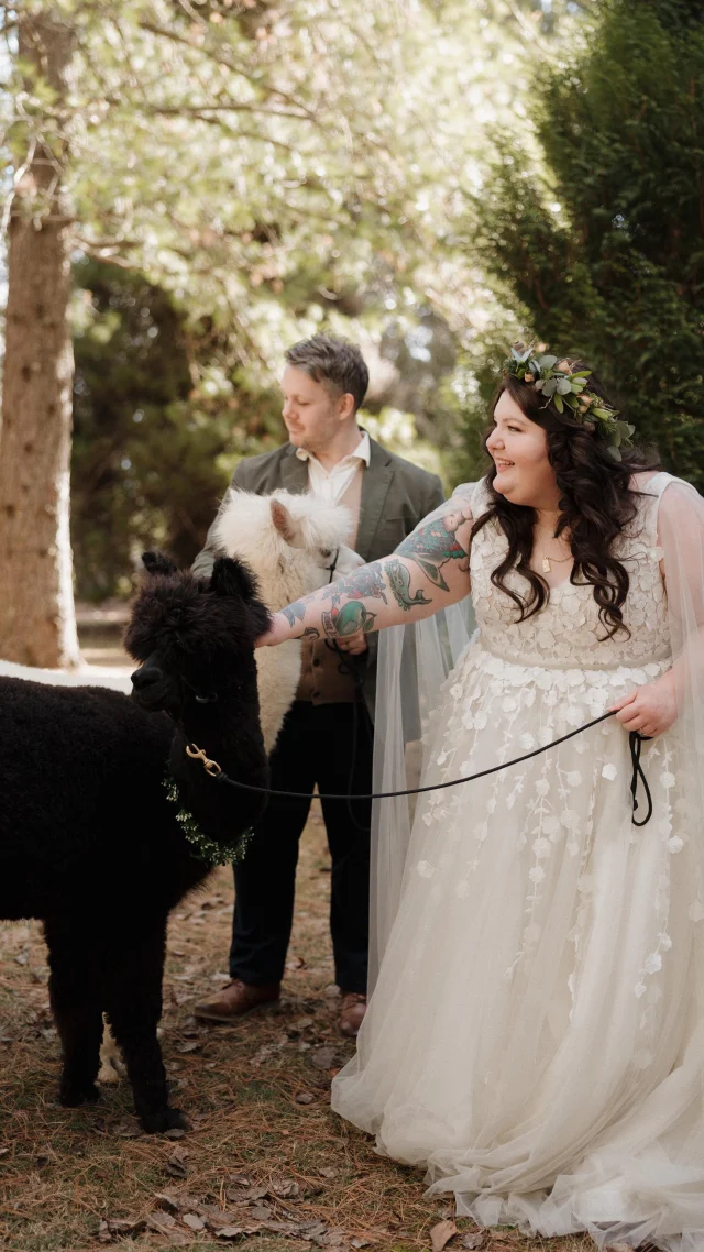 Avoid the staged look at all costs – that’s the @honeybearfilms philosophy!

Your wedding day should feel like a celebration – not a photoshoot. That’s why James, the creative mind behind HoneyBear, captures the in-between moments that matter most. The teary-eyed glances, the chaotic dance moves, the laughter you didn’t even know was caught.

With over 15 years in film and a decade filming weddings, James and the team bring a candid, cinematic touch to each love story.  Think documentary meets movie magic, with zero awkward posing.

A queer, neurodivergent filmmaker with a flair for vintage vibes and colourful nails, James is all about embracing authenticity. At HoneyBear, all love stories are welcome, celebrated, and beautifully told! 

Just take a look at how the team captured Amber & Dom’s whimsical wedding we featured back in January. Find more incredible work on the Polka Dot Directory – link in bio. 

psst! If you’re a wedding vendor – we’d love to have you join the Polka Dot Directory! Take a look at the offering at the link in our bio.

Cover photo by @marynacherednikova 

[Video description: Video footage from Amber & Dom’s whimsical wedding in the blue mountains plays as their vows are said in the background of the video. The footage has a vintage vibe, with whimsical shots through the trees and greenery.]

#PolkaDotWedding #FeelGoodWeddings #AustralianWeddings #AustralianWedding #WeddingVendors #WeddingDirectory #WeddingVideographer #Videographer #WeddingFilm #WeddingWebsite #WeddingInspo #WeddingInspiration #WeddingBlogger